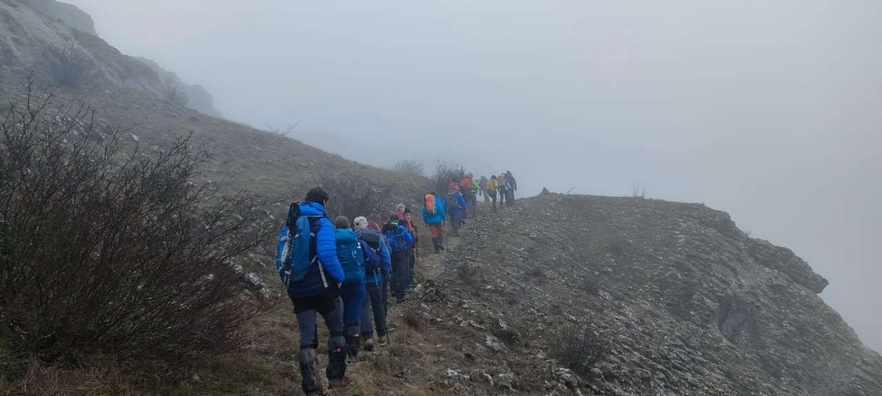 WhatsApp Image 2026-02-10 at 14.47.44